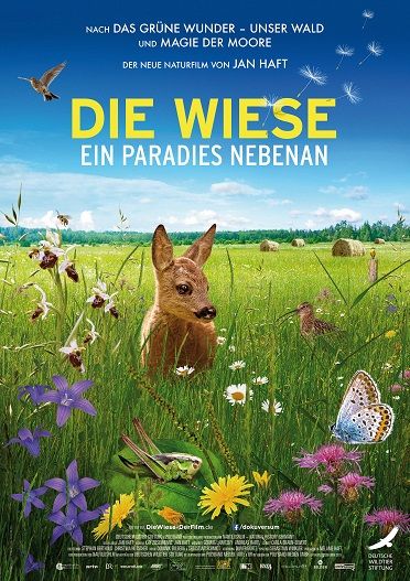 die wiese monopol