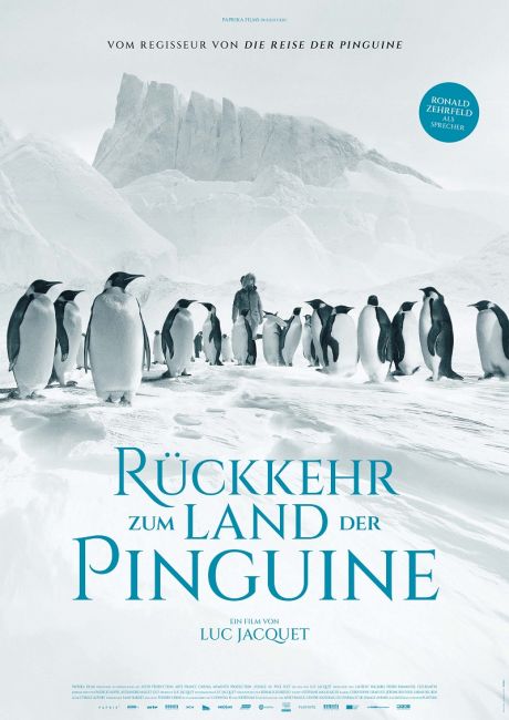 Rückkehr zum Land der Pinguine